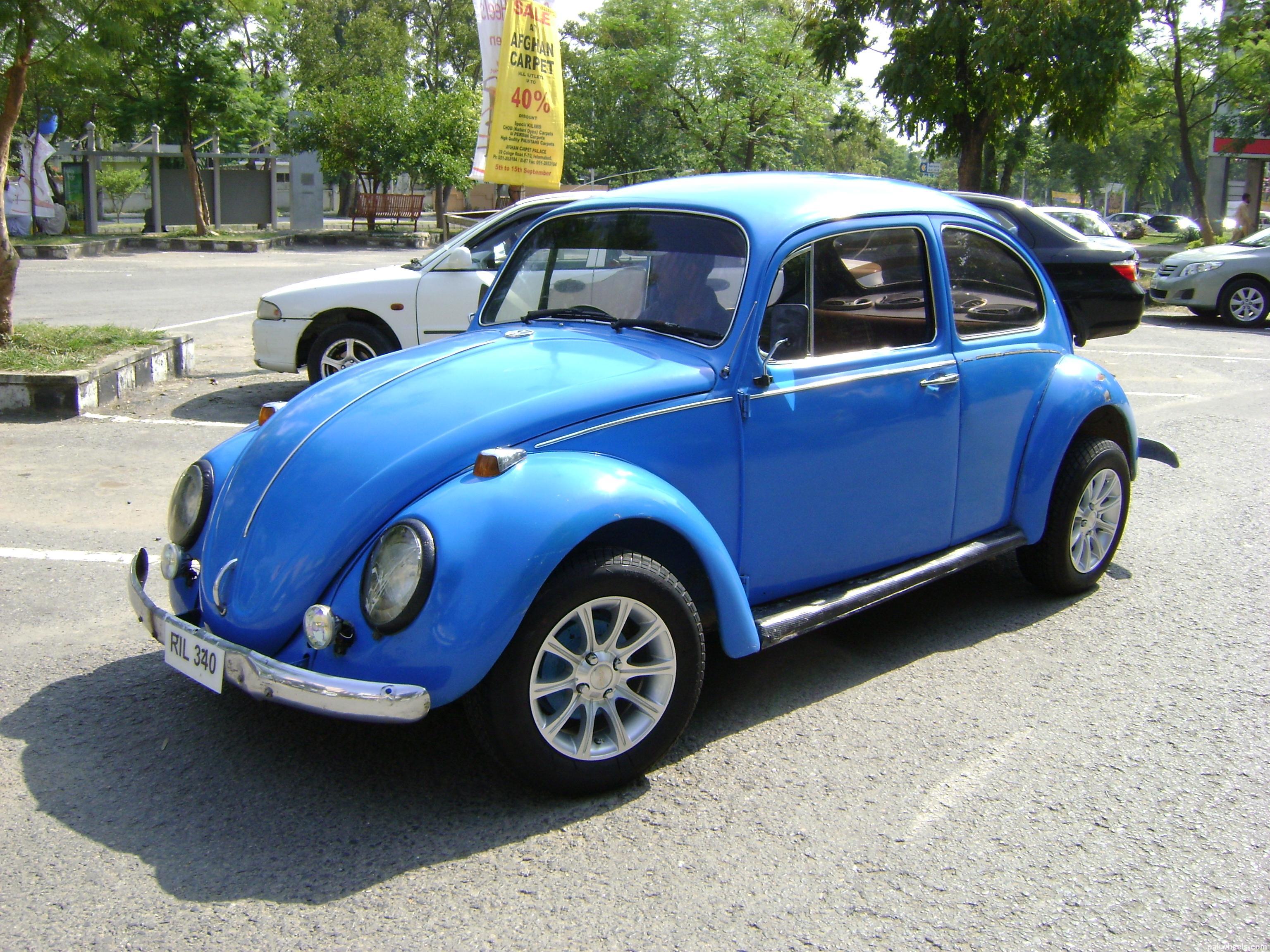 Volkswagen Beetle - 1969 Rose Image-1