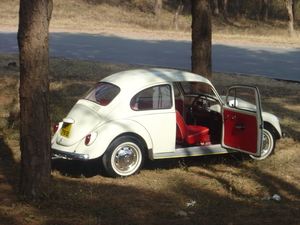 Volkswagen Beetle - 1968