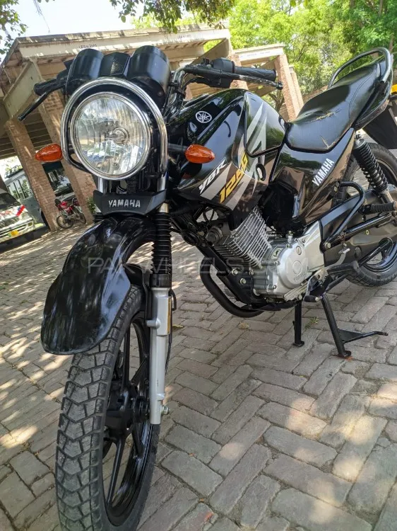 Yamaha YBR 125 2019 for Sale Image-1