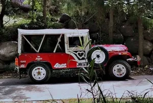 Jeep CJ 5 1976 for Sale