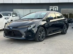 Toyota Corolla Hybrid WxB 2020 for Sale