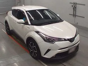 Toyota C-HR G-LED 2019 for Sale