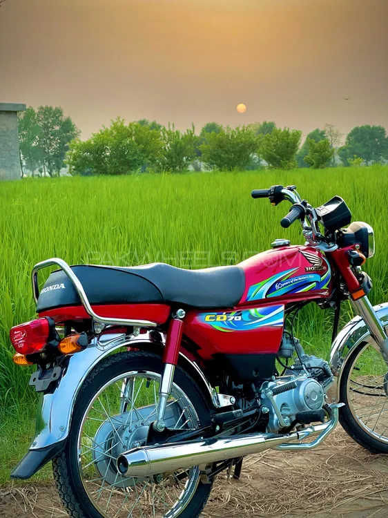 Honda CD 70 2024 for Sale Image-1