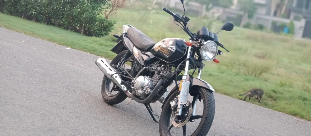 Yamaha YB 125Z-DX 2020 for Sale Yamaha YB 125Z-DX 2020 for Sale Image-3