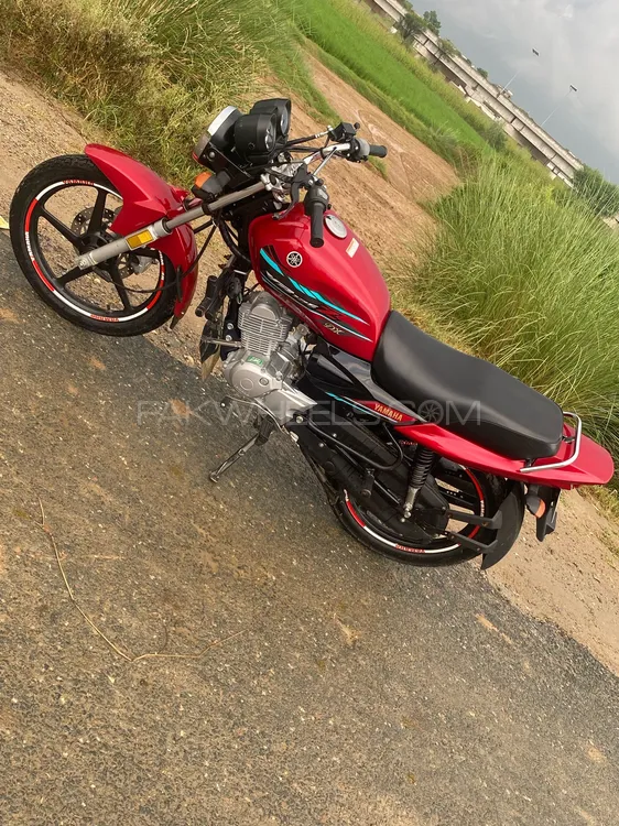 Yamaha YB 125Z-DX 2022 for Sale Image-1
