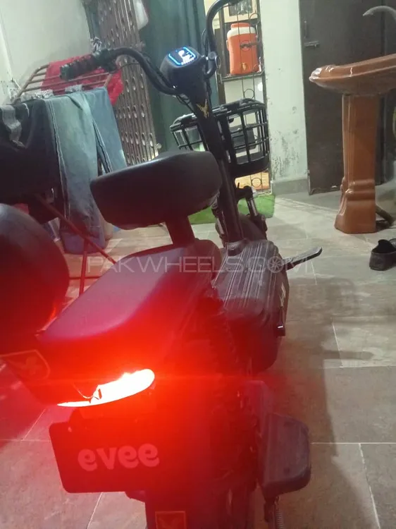 Evee Flipper 2024 for Sale Image-1