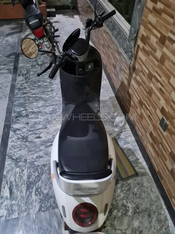 Evee Nisa 2025 for Sale Image-1