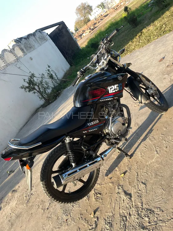 Yamaha YBR 125 2024 for Sale Image-1