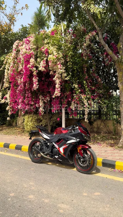 Chinese Bikes OW Ninja 250cc 2021 for Sale Image-1