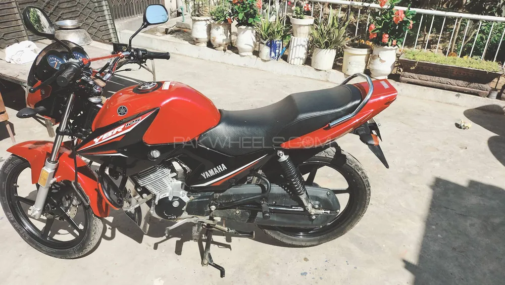 Yamaha YBR 125 2022 for Sale Image-1