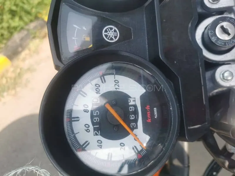 Yamaha YB 125Z-DX 2022 for Sale Image-1