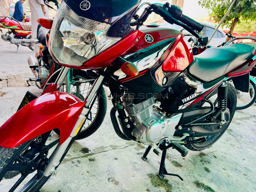 Yamaha YBR 125 2024 for Sale Image-1