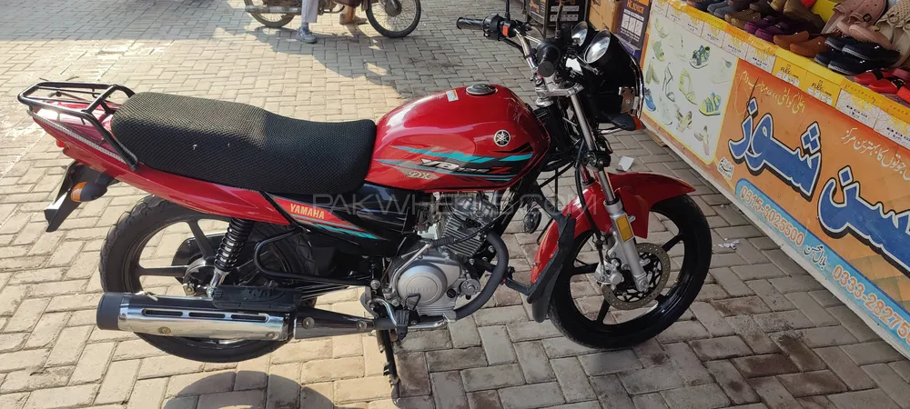 Yamaha YB 125Z-DX 2023 for Sale Image-1