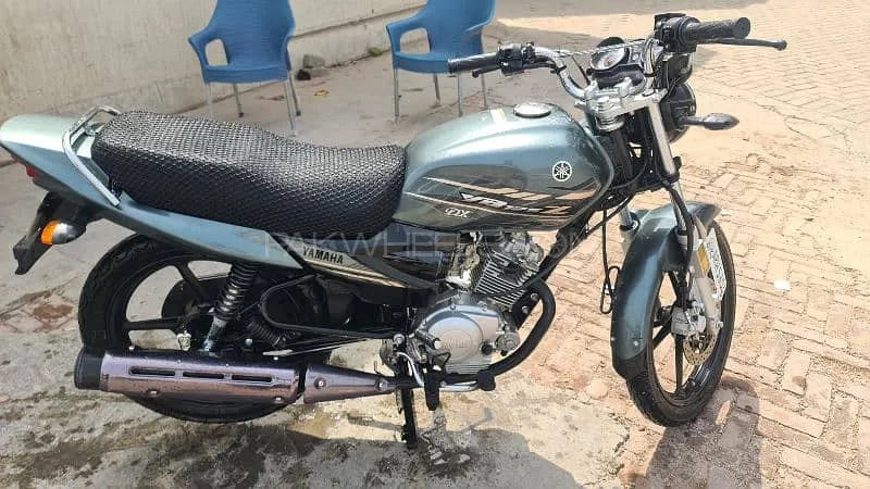 Yamaha YB 125Z-DX 2024 for Sale Image-1