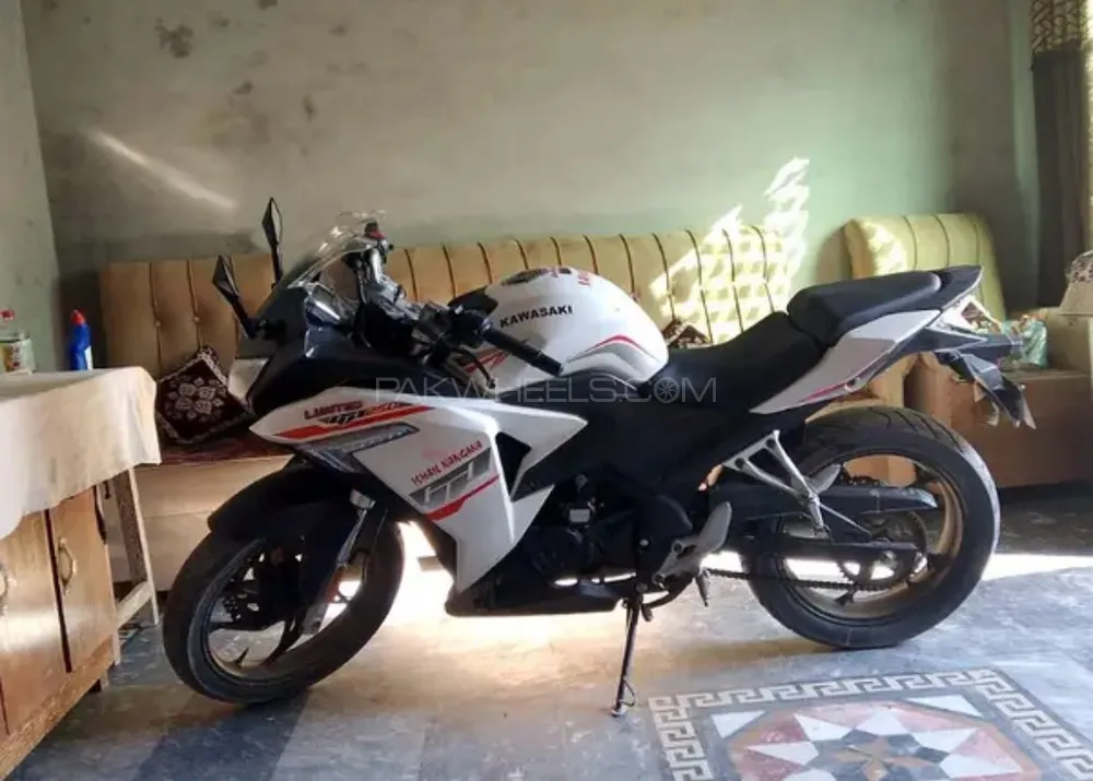 Super Power Leo 200 2024 for Sale Image-1