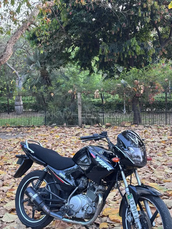 Yamaha YBR 125 2016 for Sale Image-1