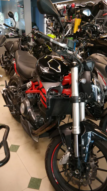 بنیلی 302S 2024 for Sale بنیلی 302S 2024 for Sale Image-4