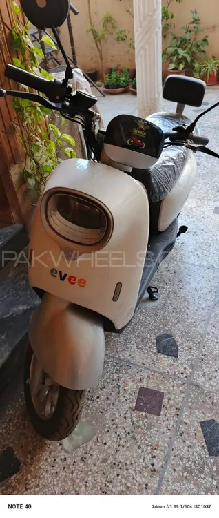 Evee Nisa 2025 for Sale Image-1