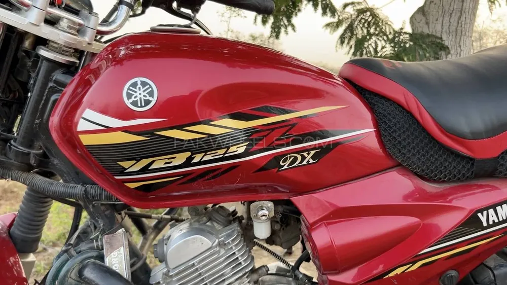 Yamaha YBR 125 2021 for Sale Image-1