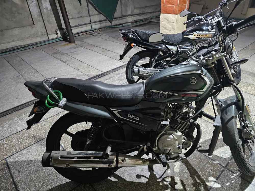 Yamaha YB 125Z-DX 2024 for Sale Image-1