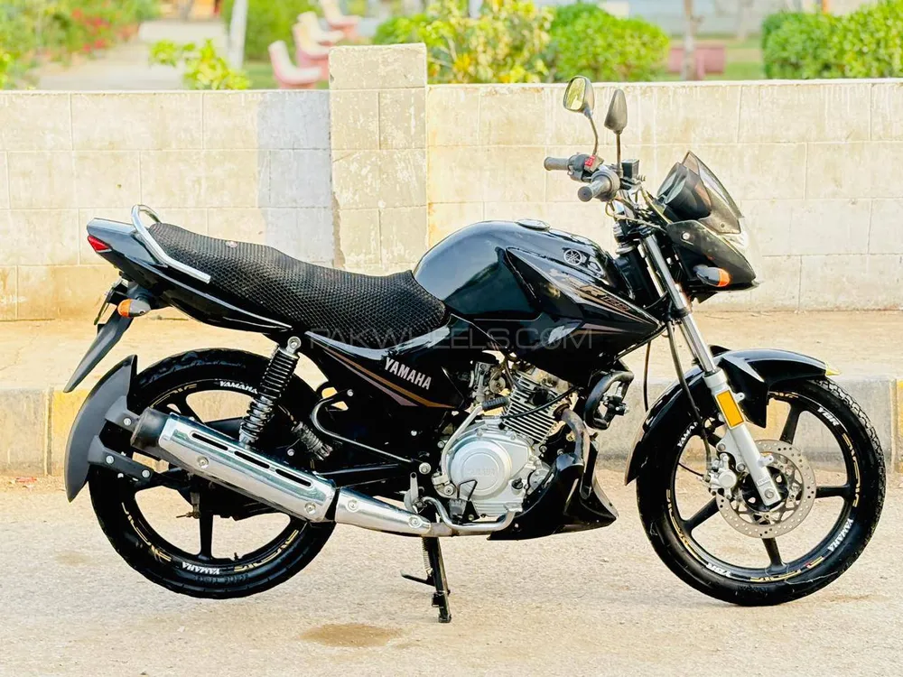 Yamaha YBR 125 2023 for Sale Image-1