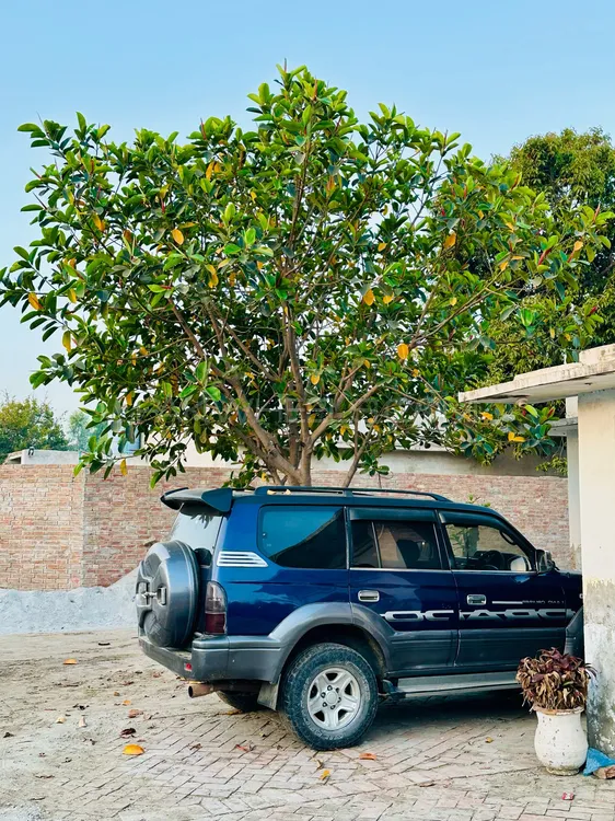 Toyota Prado 1997 for Sale in Pak pattan sharif Image-1