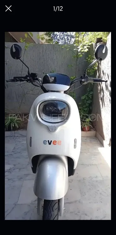 Evee Nisa 2024 for Sale Image-1