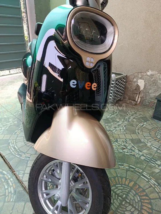 Evee Nisa 2024 for Sale Image-1