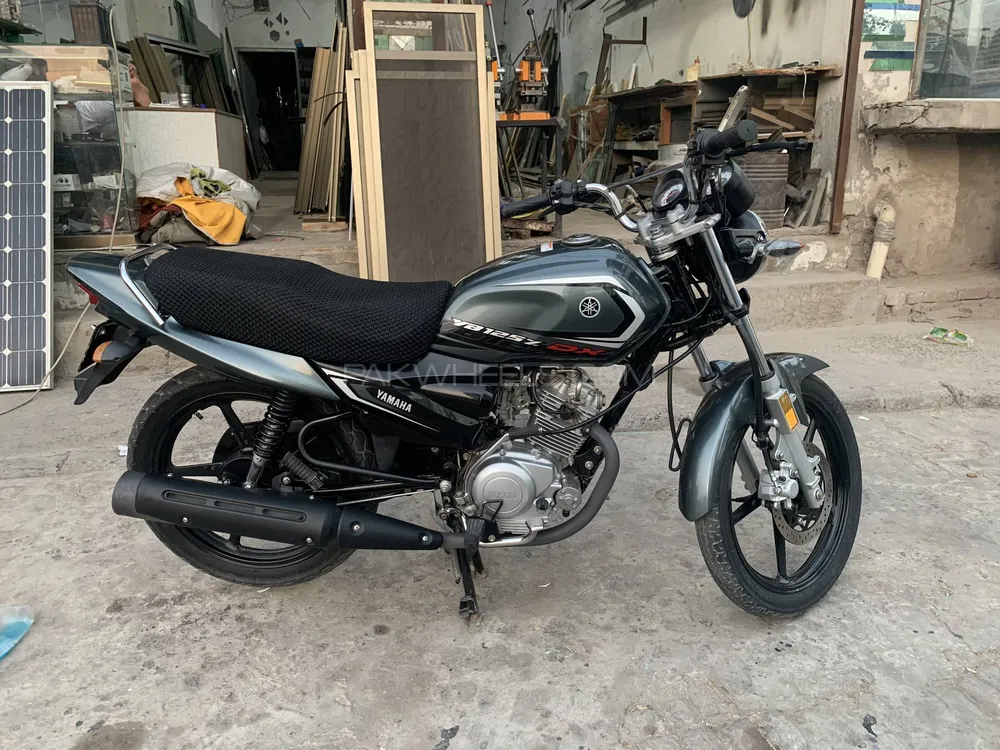 Yamaha YBR 125 2024 for Sale Image-1