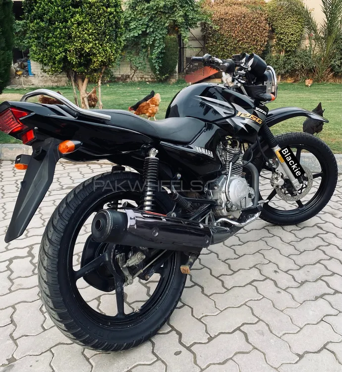 یاماہا YBR 125 2019 for Sale Image-1