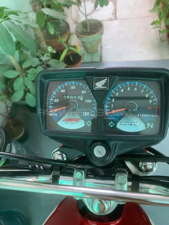 Honda  Fury 2023 for Sale Image-1