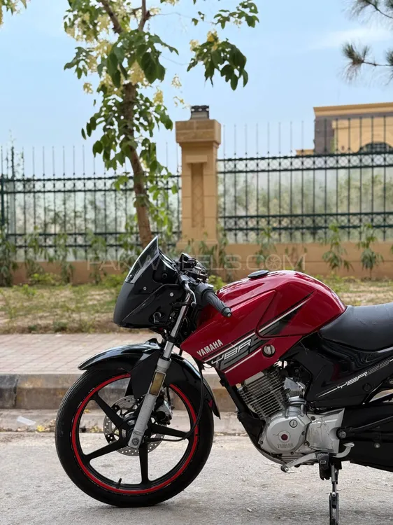 Yamaha YBR 125 2016 for Sale Image-1