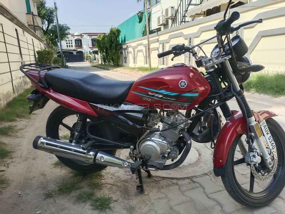Yamaha YB 125Z-DX 2023 for Sale Image-1