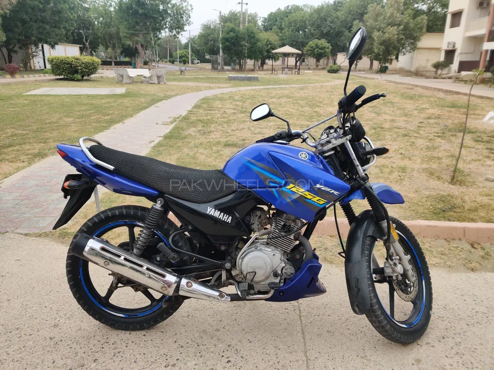 Yamaha YBR 125 2019 for Sale Image-1