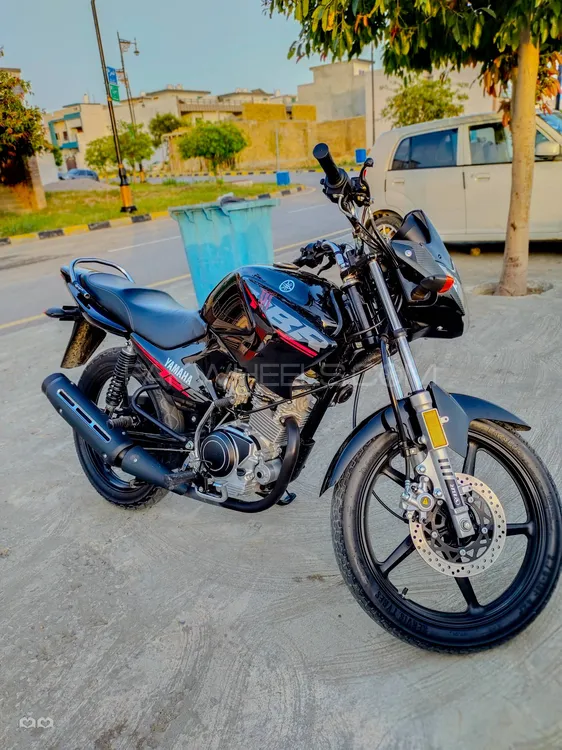 Yamaha YBR 125 2024 for Sale Image-1