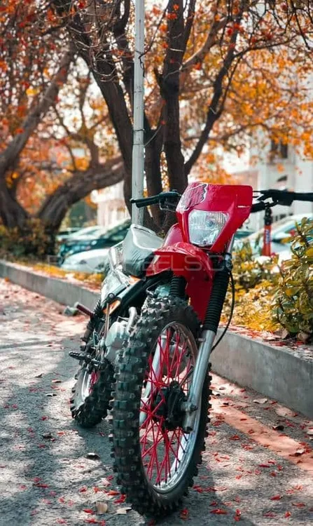 Chinese Bikes Other 2017 for Sale Image-1
