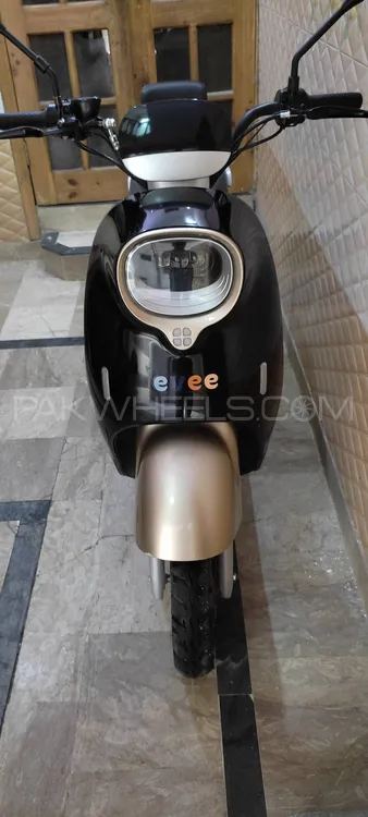 Evee Nisa 2025 for Sale Image-1