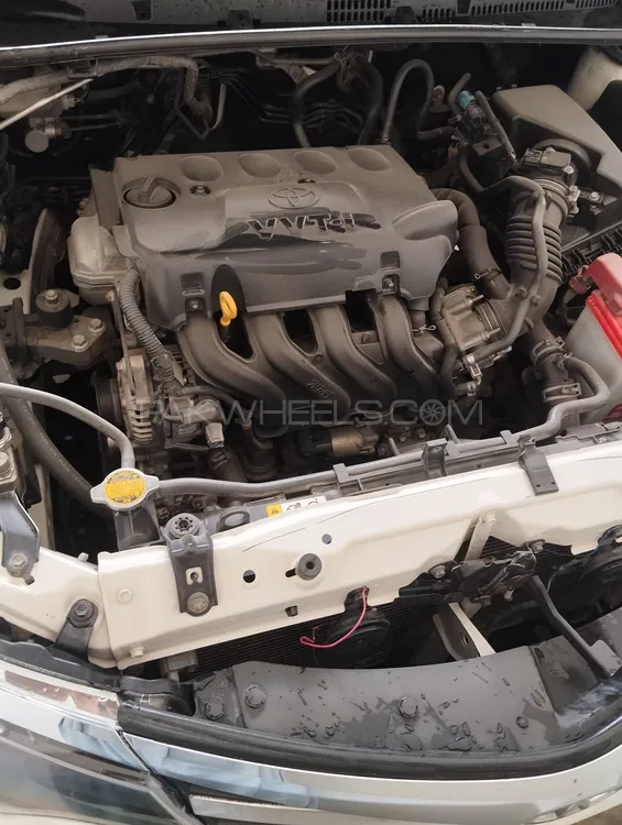 Toyota Corolla 2019 for Sale in Dera ismail khan Image-1
