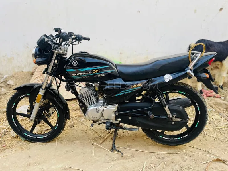 Yamaha YB 125Z-DX 2022 for Sale Image-1