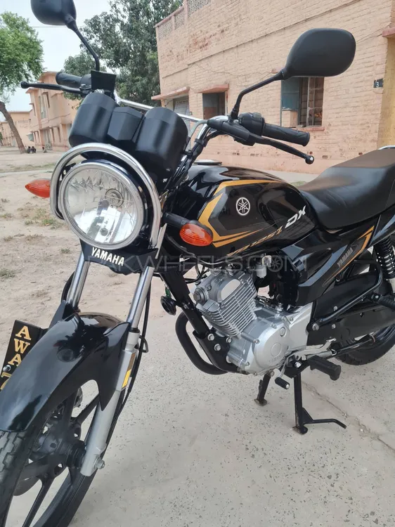 Yamaha YB 125Z-DX 2024 for Sale Image-1