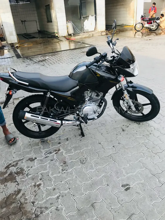 Yamaha YBR 125 2025 for Sale Image-1