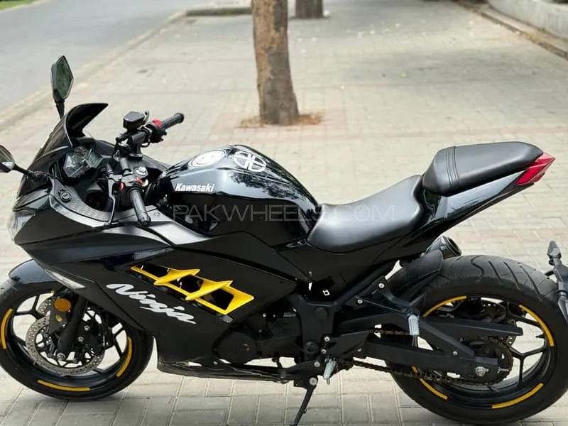 Kawasaki Ninja 250R 2023 for Sale Image-1