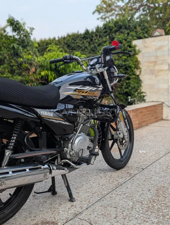 Yamaha YB 125Z-DX 2021 for Sale Image-1