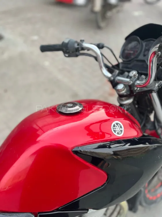 Yamaha YBR 125 2019 for Sale Image-1