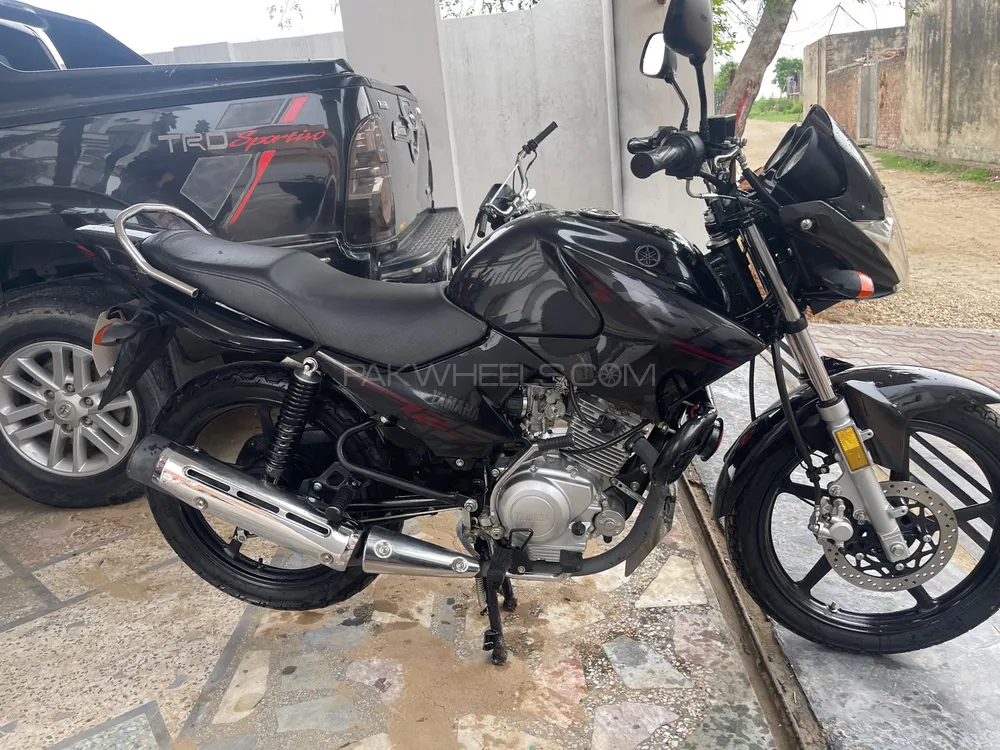 Yamaha YBR 125 2025 for Sale Image-1
