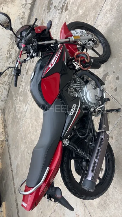 Yamaha YBR 125 2022 for Sale Image-1