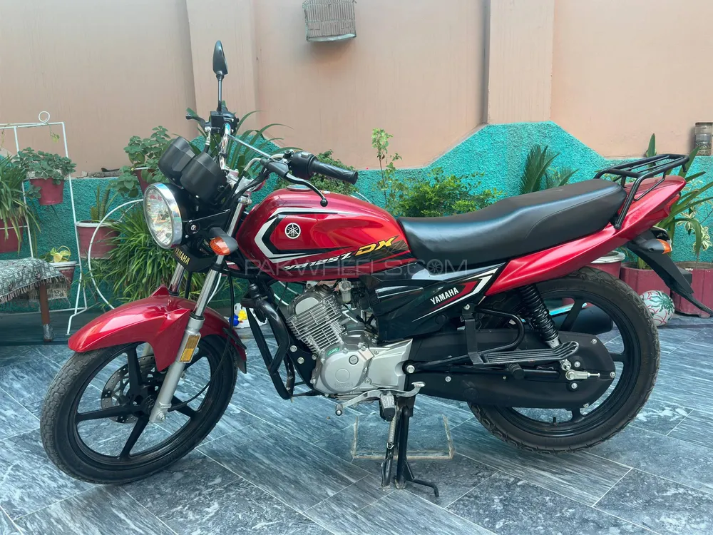 Yamaha YBR 125 2024 for Sale Image-1