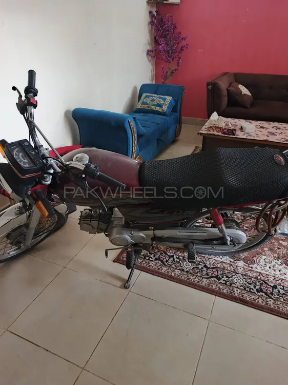 Honda CD 70 2023 for Sale Image-1