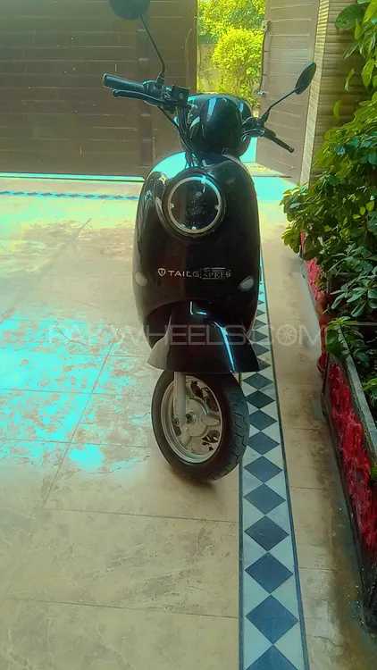Blue Star Other 2024 for Sale Image-1