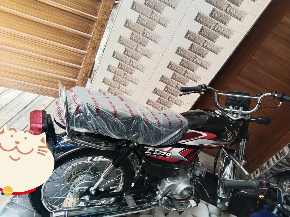 Honda CD 70 2025 for Sale Image-1